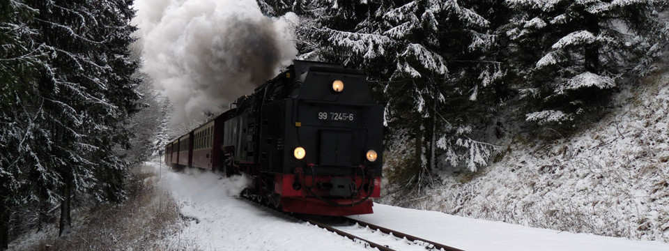 Dampflok im Winter am Haltepunkt Sophienhof