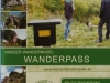 Wanderpass